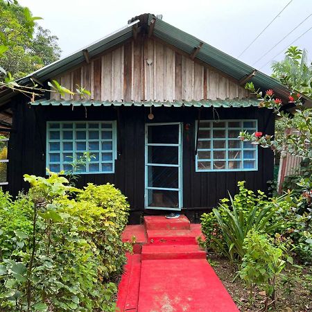 Flor De La Selva Daire Puerto Nariño Dış mekan fotoğraf