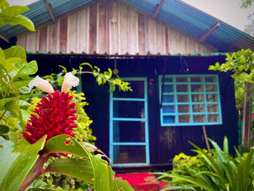 Flor De La Selva Daire Puerto Nariño Dış mekan fotoğraf